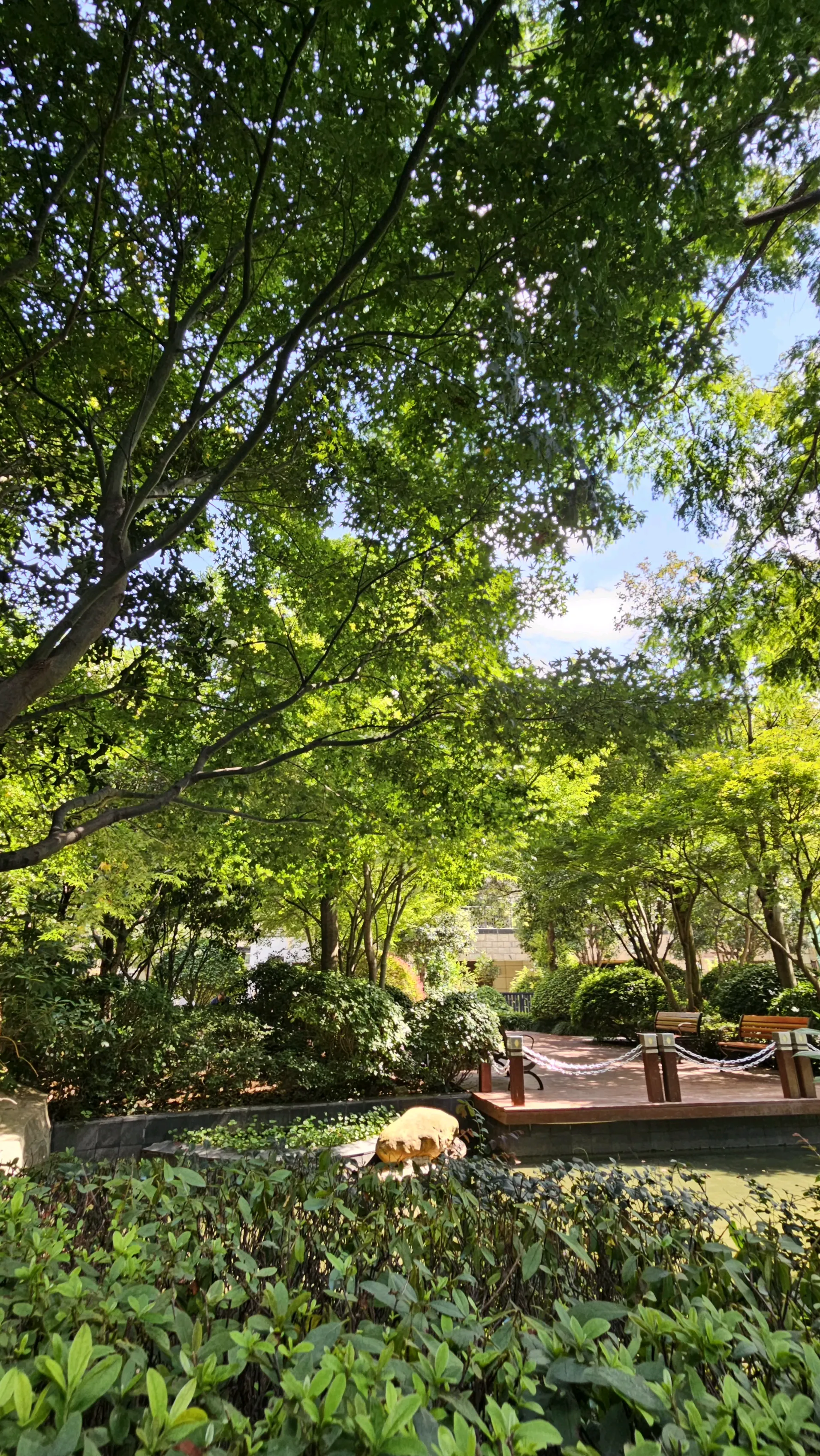 又是一景